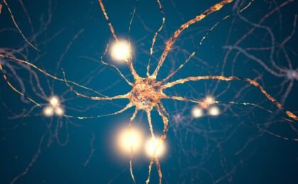 Comment agit un antidépresseur - Les neurones