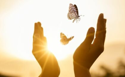 le declic de Veronique pour sortir de la depression - papillons lumiere