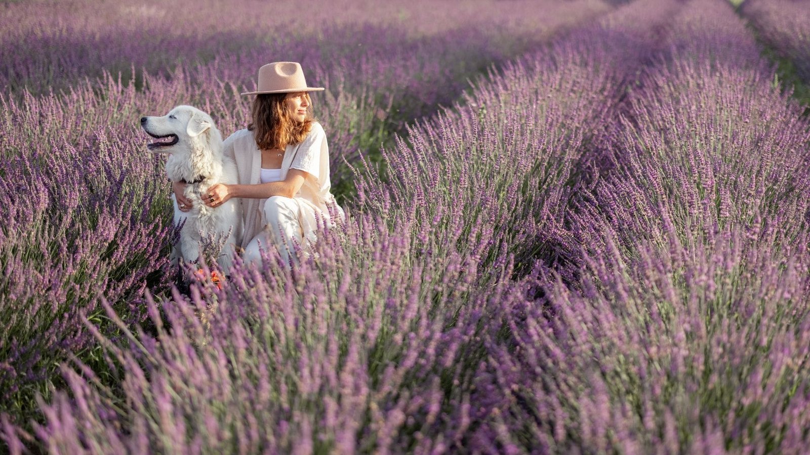 Traiter la dépression : solutions et alternatives naturelles