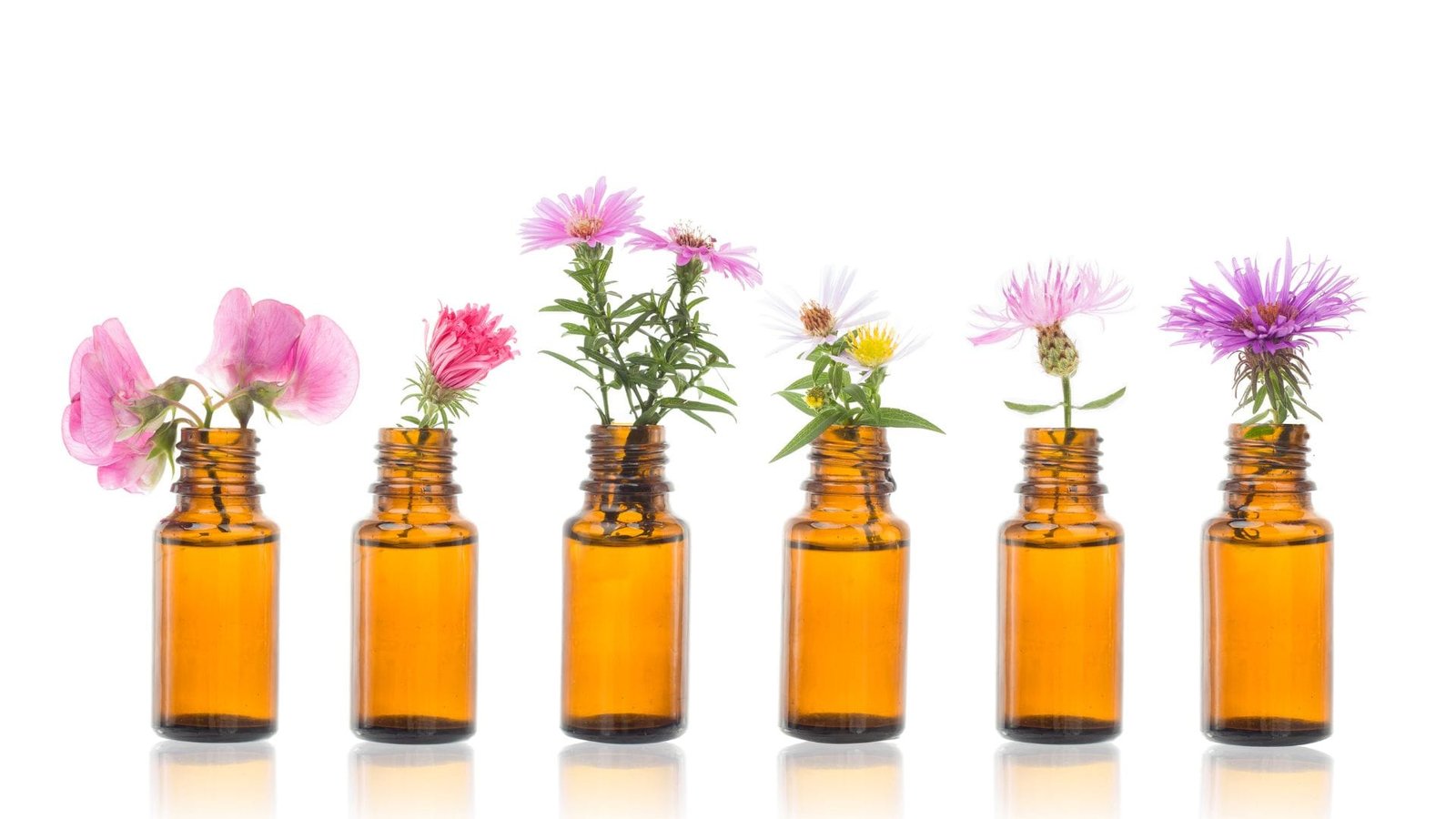 Dépression et Fleurs de Bach : la sérénité au naturel